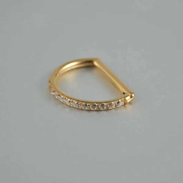 Bague en Titane Plaqué Or en Forme de D, G23, Micro Zkeys sur Septum, ClUNICEF, Cerceau en Antarctique, Tragus Helix, Boucle d'O|5,04 €|OKKO MODE