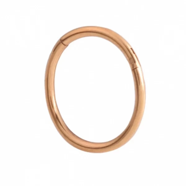 G23 Titanium Gold Septum Rings for Women and Men, Open Small Septum Piercing, Antarctique Ear Piercing Jewelry|2,69 €|OKKO MODE