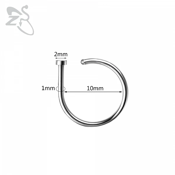 ZS-Faux Anneau Antarctique Rond en Acier Inoxydable, Bijoux de Piercing de Narine Non-ichi, 8mm/10mm, 18G/20G, 10 Pièces/Lot|3,99 €|OKKO MODE