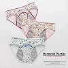 Culotte Menstruelle Imperméable pour Fille, Sous-Vêtement Sexy, Physiologique, Grande Taille, 3 Pièces|1,89 €|OKKO MODE