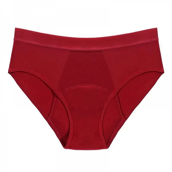 Culotte de Menstruation Étanche à 4 Couches et Absorption Rapide, Sous-vêtements Sexy en Dentelle, Femme, Lingerie de Grande Tai|6,29 €|OKKO MODE