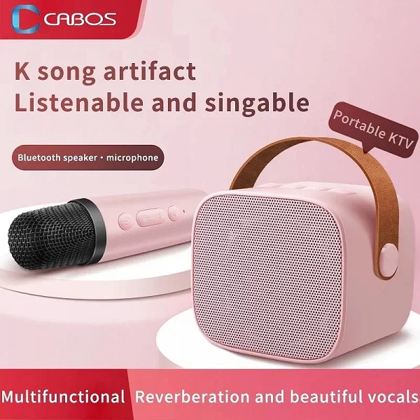 Haut-parleur portable sans fil pour touristes, microphone Bluetooth 5.0, son surround stéréo HIFI, machine de karaoké, chant KTV|21,59 €|OKKO MODE