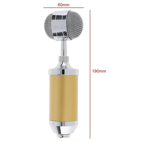 Professionnel, support de prise de Microphone à condensateur, plaqué or, tête à grand diaphragme, enregistrement Audio en Studio|31,01 €|OKKO MODE