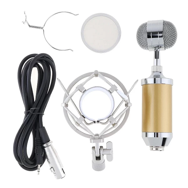 Professionnel, support de prise de Microphone à condensateur, plaqué or, tête à grand diaphragme, enregistrement Audio en Studio|31,01 €|OKKO MODE