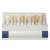 Dental Shade Guide 3D Master - Teeth Whitening Shades Comparison | $45.50 | OKKO MODE