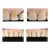 Kit professionnel Spatule dentaire composite OptraSculpt - Résine, mousse, manche-Assad et blanchiment | 17,28 $ | OKKO MODE