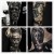 Encre noire pour tatouage 8oz - idéal pour tribal, pigmentaire et sombre | $18.59 | OKKO MODE