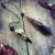 Pendule en cristal d'obsidienne noire en pierre naturelle, pendule spirituel, reiki vintage, corbeau, crâne, nouvelle collection | 5,99 € | OKKO MODE