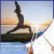 Ensemble de diapageurs pour la guérison des chakras, thérapie par le son et bien-être complet | 27,30 $ | OKKO MODE