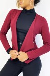 Blazer bordeaux col revers avec poches à zip. Blazer femme pas cher - 5