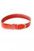 Ceinture basique Rouge à boucle argentée | 1,13 $ | OKKO MODE