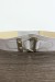 Ceinture grise ovale-forme-élégante-Femme/Homme | $1.13 | OKKO MODE