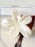 Griffes de cheveux simples et brillantes pour femmes - Accessoires mode fleur d'œuf, idéal pour les fêtes (1/2 pièces) | 2,92 $ | OKKO MODE