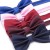 Nœud papillon unisexe pour fête de mariage et accessoire mode | $1.94 | OKKO MODE