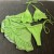 White Mesh 3-Piece Halter Bikini Set with Micro String - 2025 | $16.57 | OKKO MODE